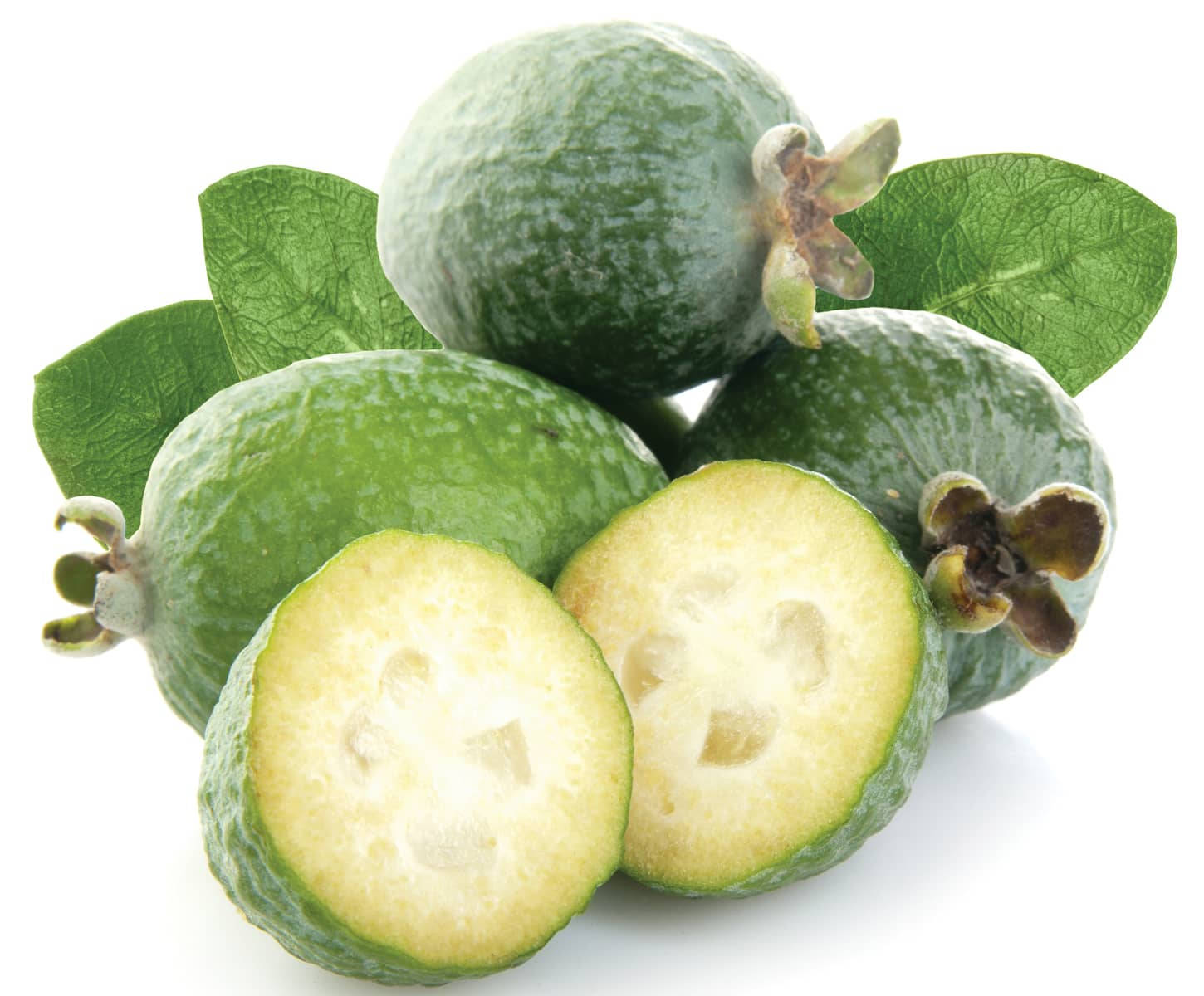 Feijoas' Prime In Autumn Wallpaper