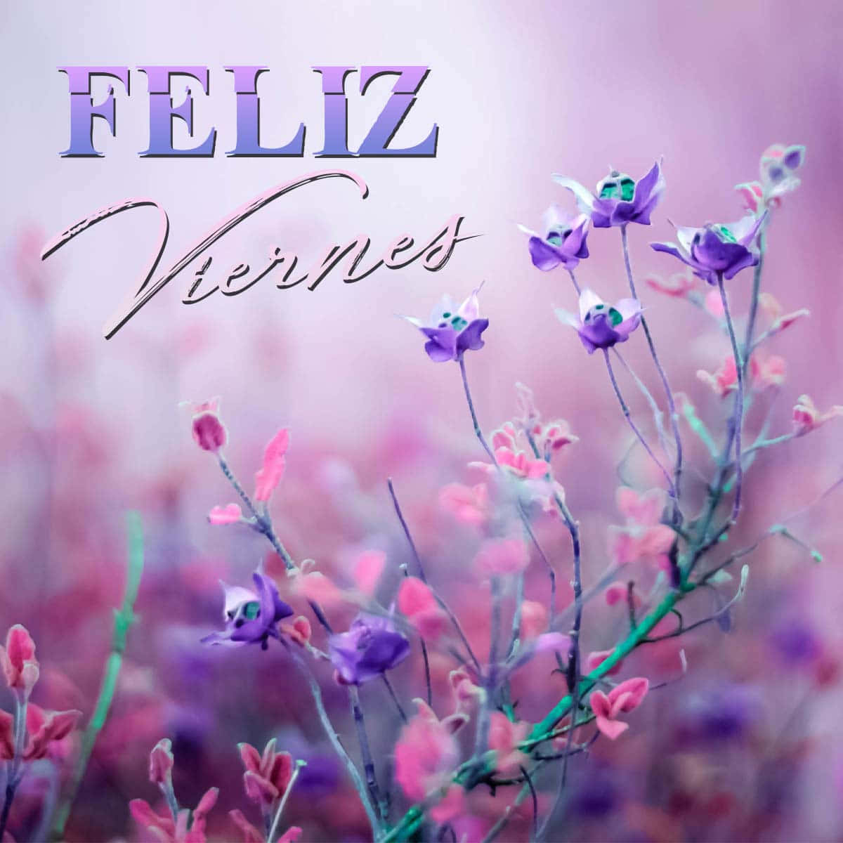 Feliz Viernes Floral Greeting Wallpaper