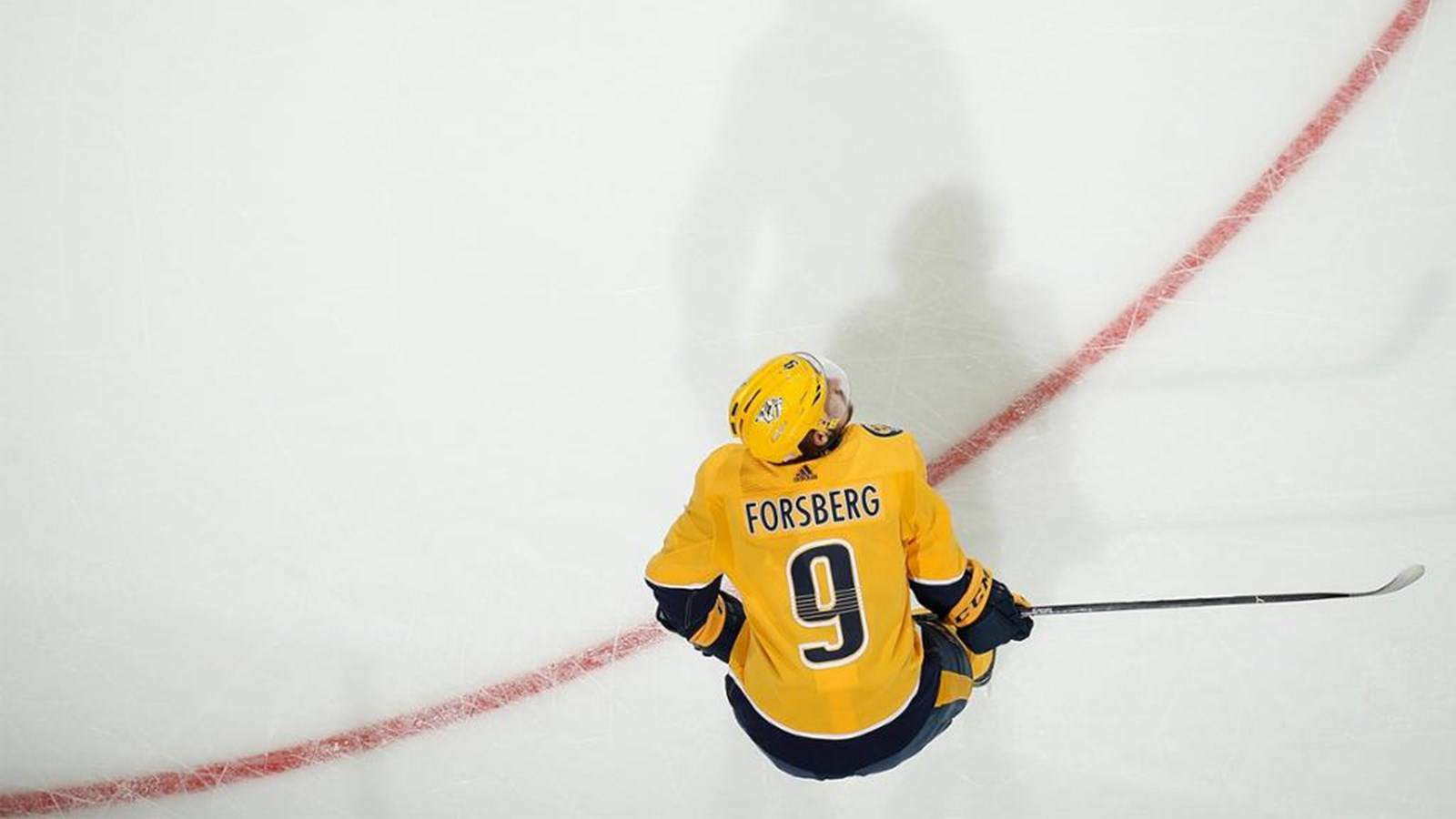 Filip Forsberg Amazing Top View Wallpaper