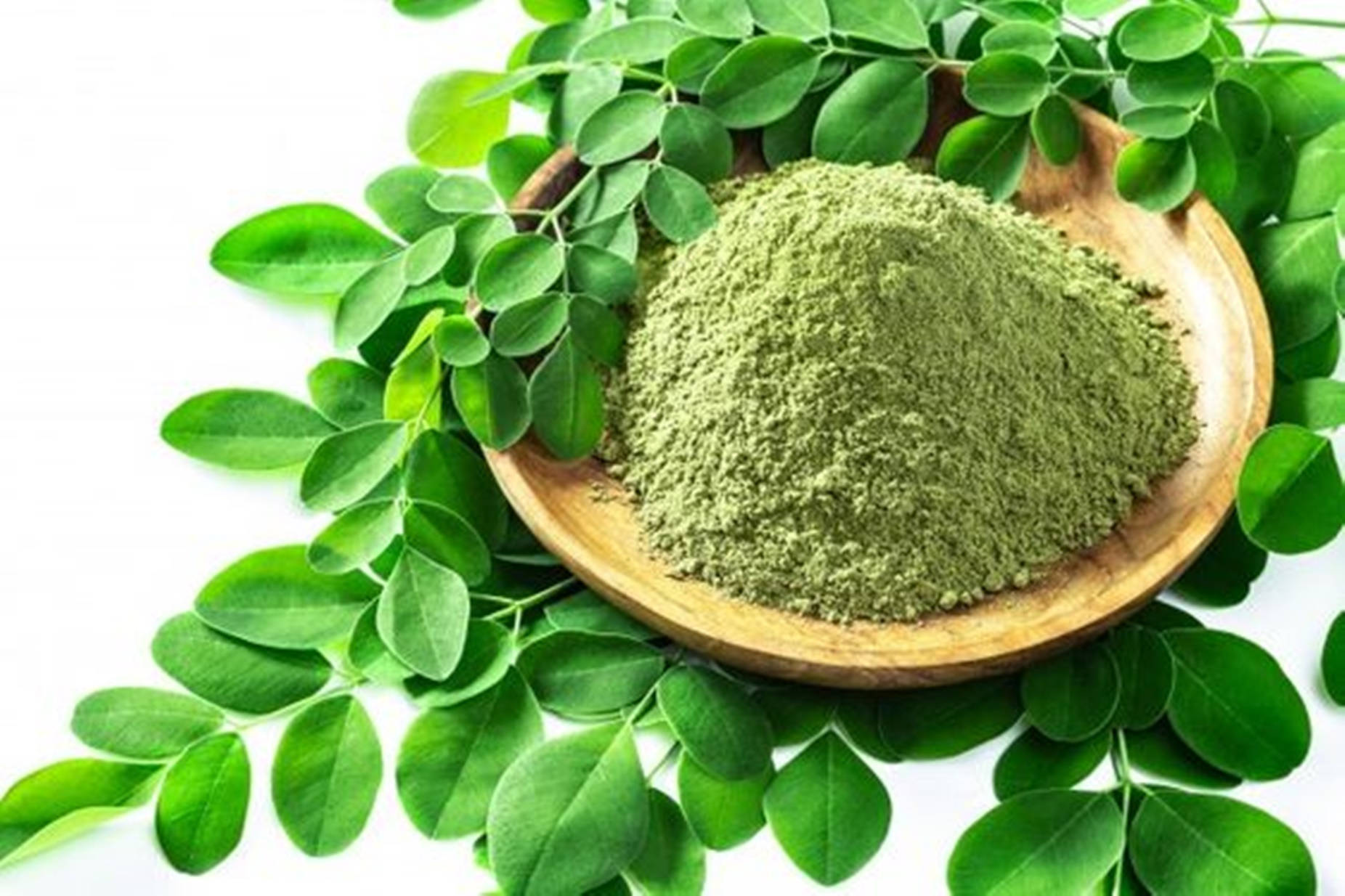 Fine-grained Moringa Tea Powder Wallpaper