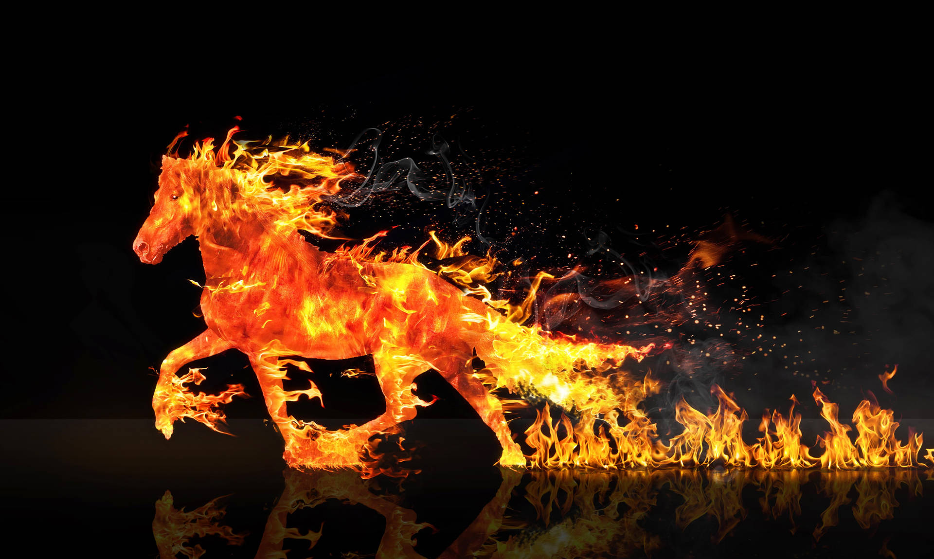 Fire Horse Cool 4k Wallpaper