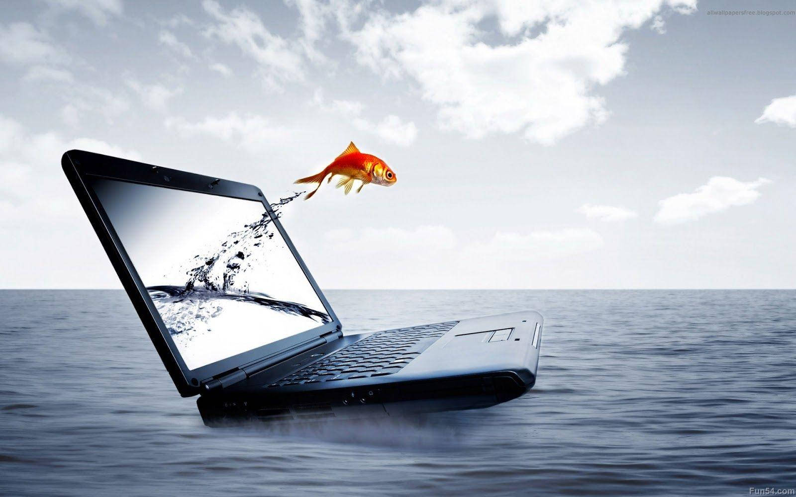 Fish Out Of Laptop Wallpaper