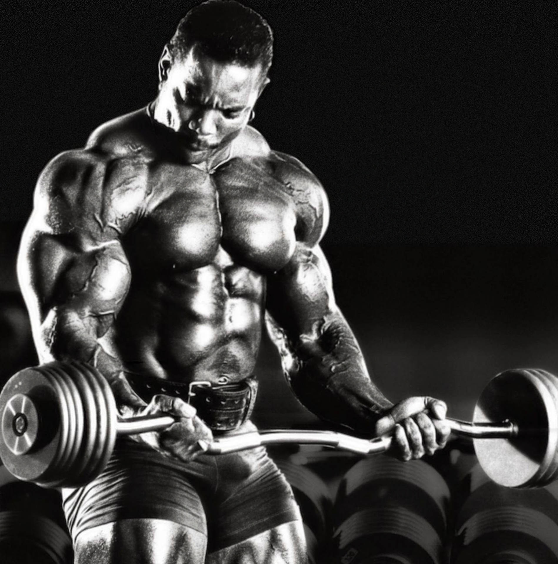 Flex wheeler biceps sale