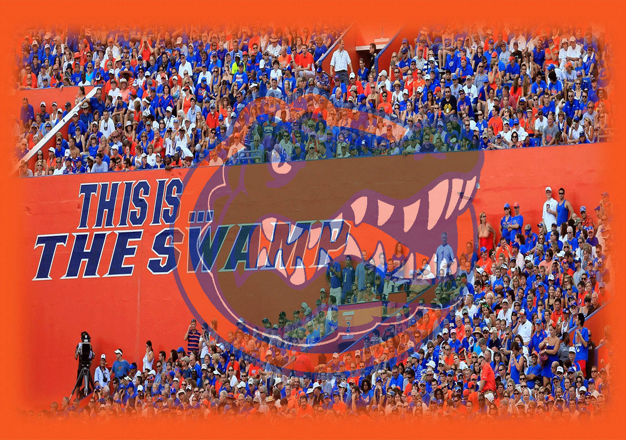 Florida Gators Swamp Wallpaper