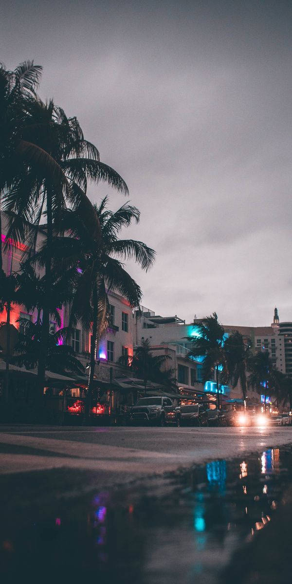 Florida Night Street Wallpaper