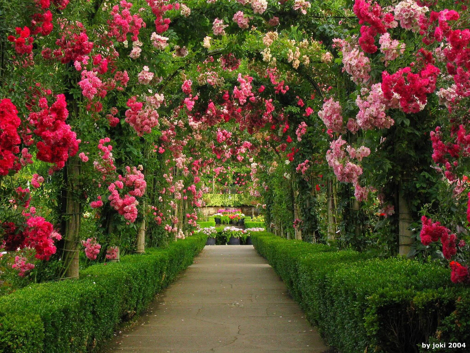 Flower Garden With Arches Wallpaper