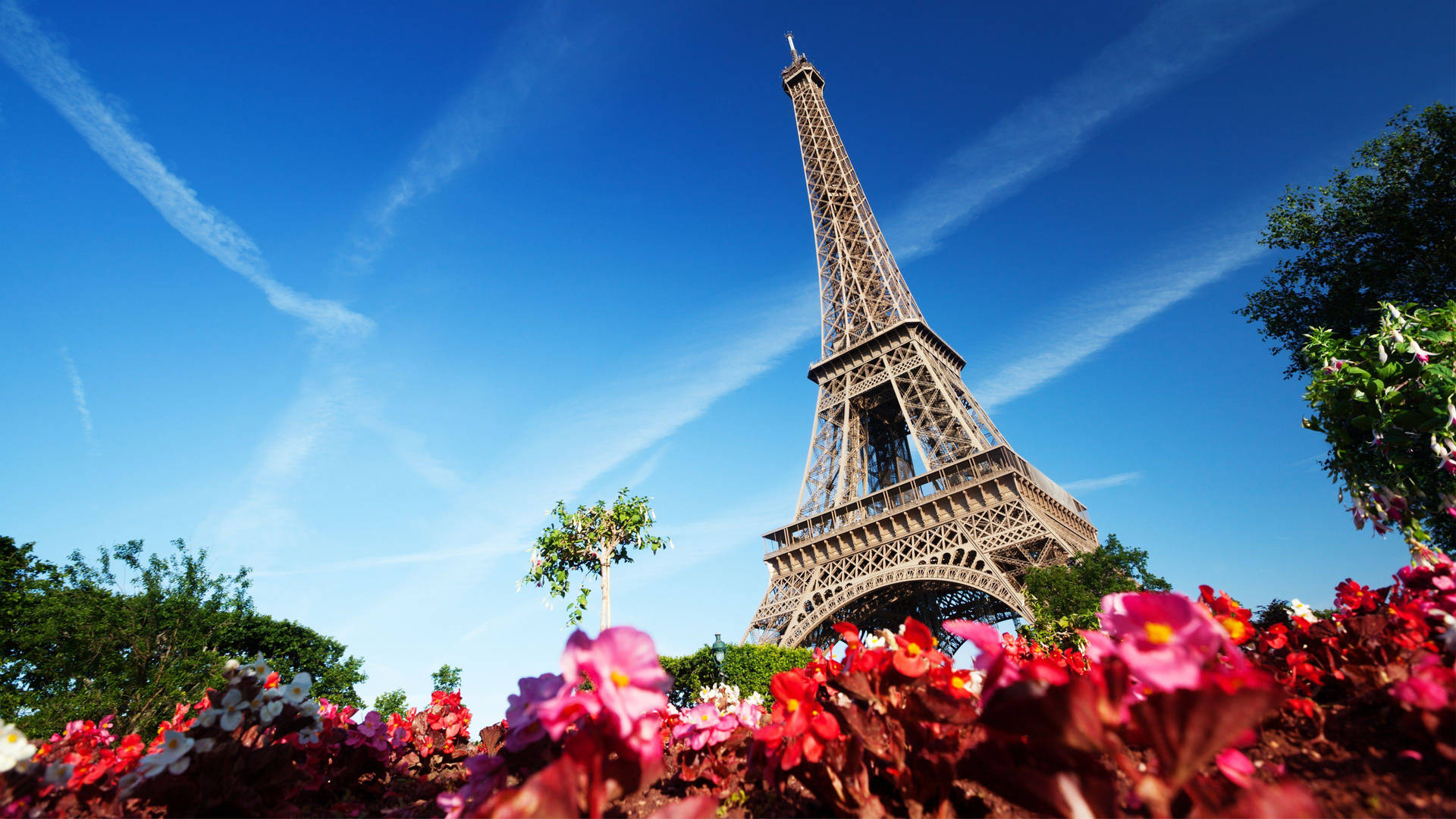 Flowers And The Beautiful Eiffel Tower In Paris Wallpaper