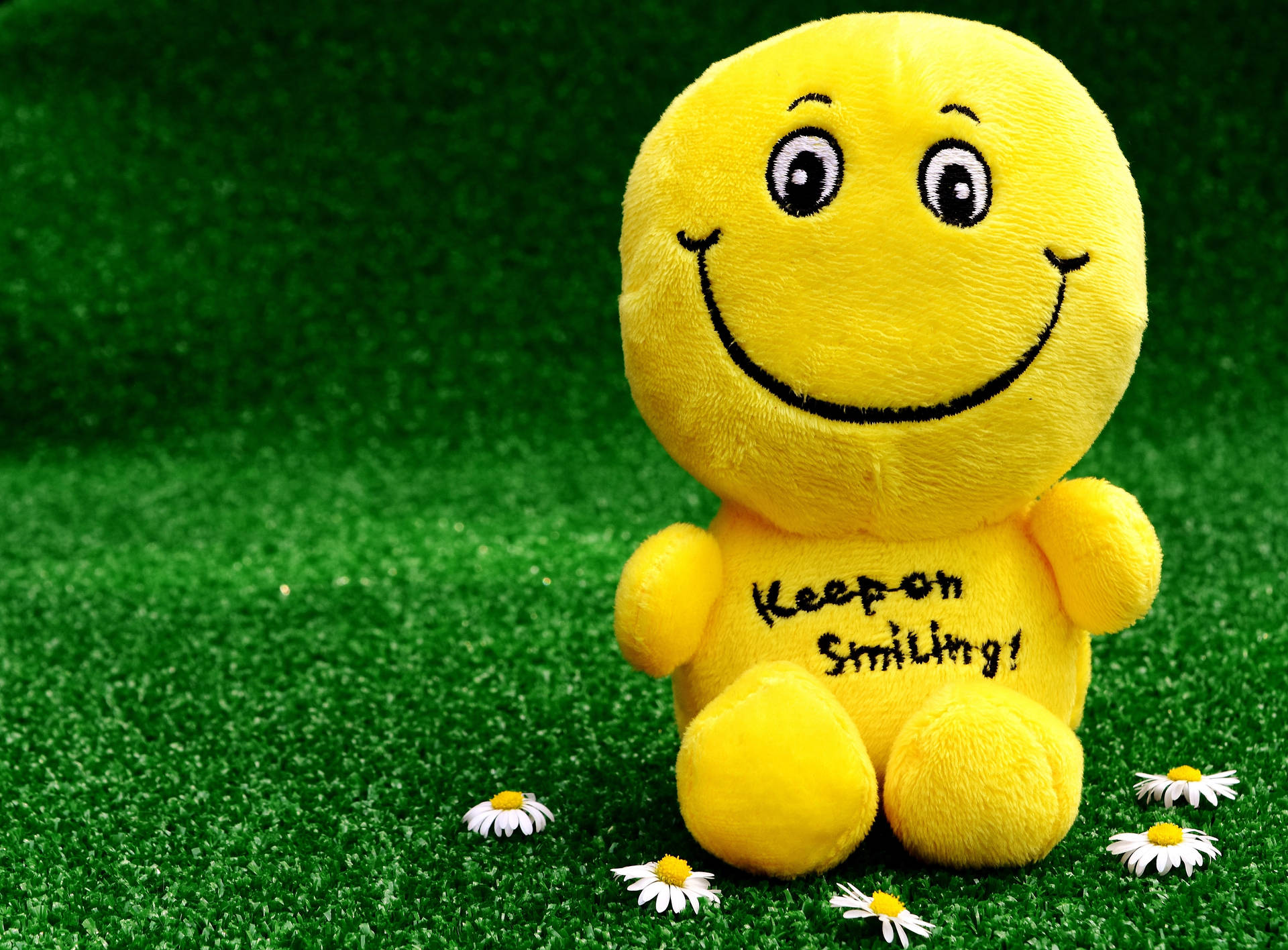 Fluffy Stuffed Happy Smiley Toy Wallpaper