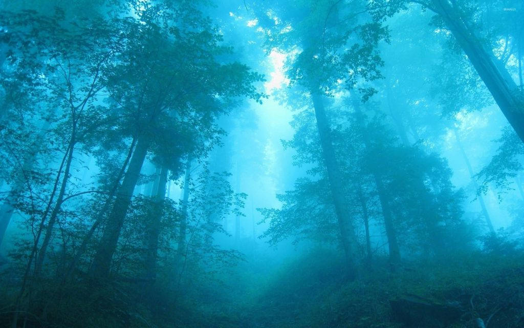 Foggy Forest Blue Dreamlike Wallpaper