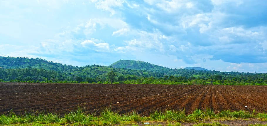 Foumbot Cameroon Vast Field And Mountain. Wallpaper