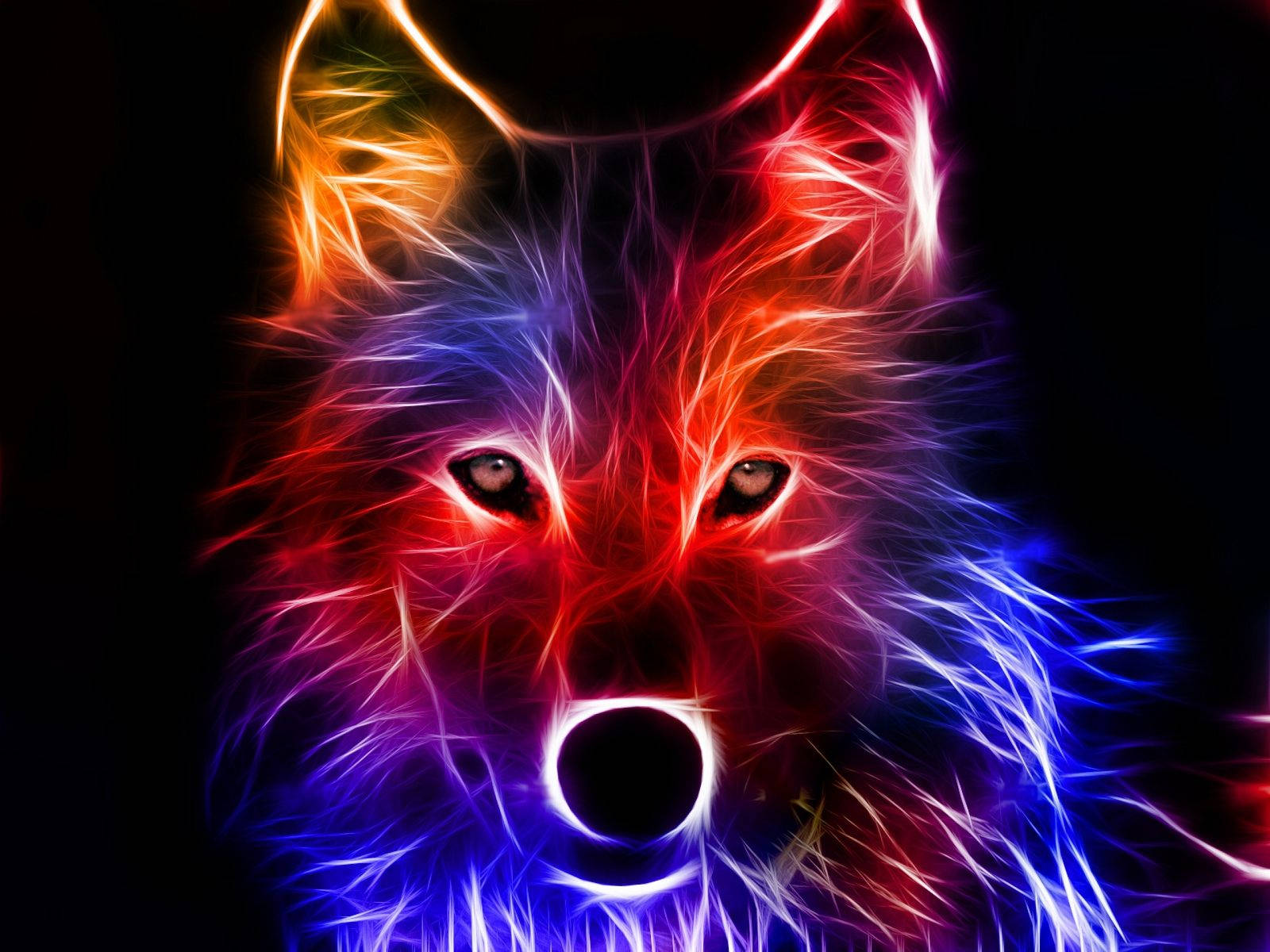 Fox Animal With Neon Fur Wallpaper