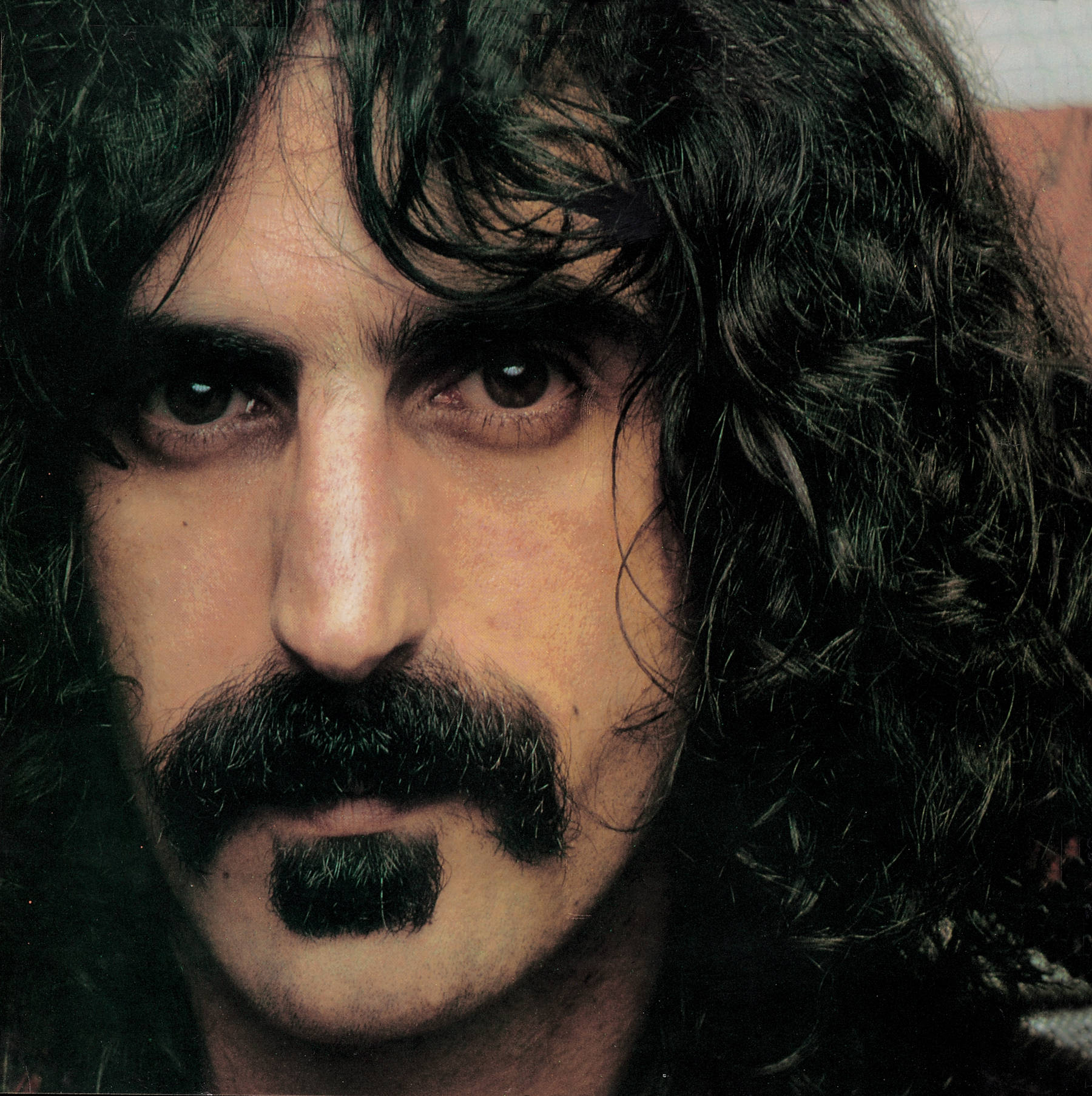 Frank Zappa Close Up Wallpaper