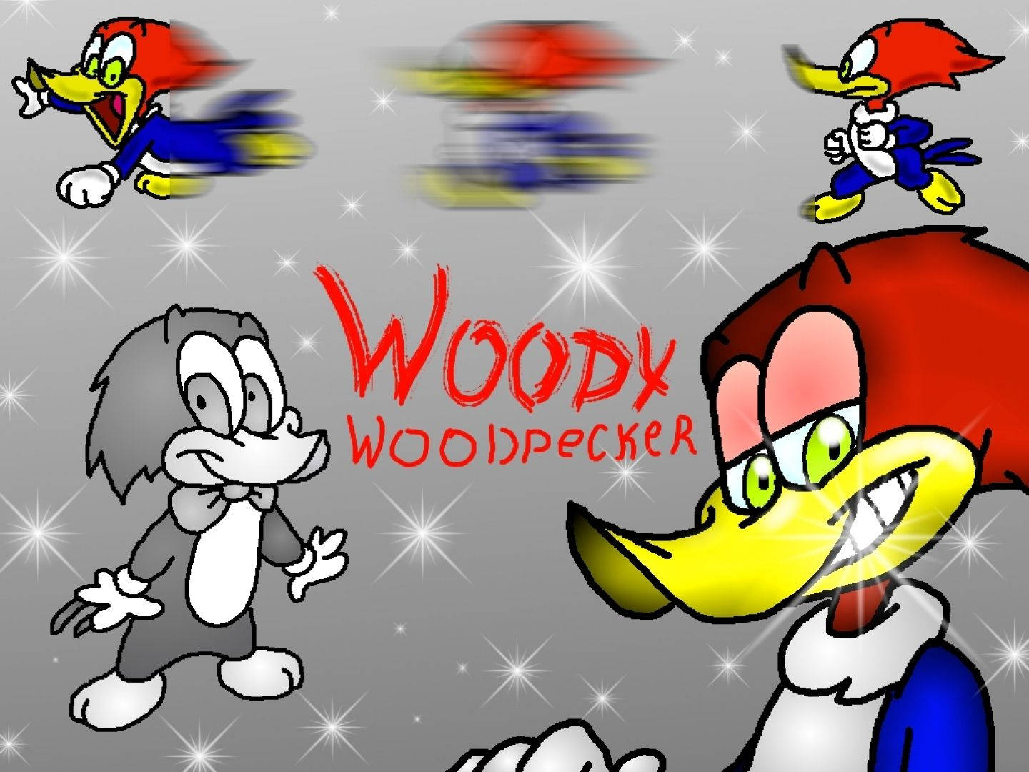 Free Woody Woodpecker Hd You Can See And Find A Picture Wallpaper