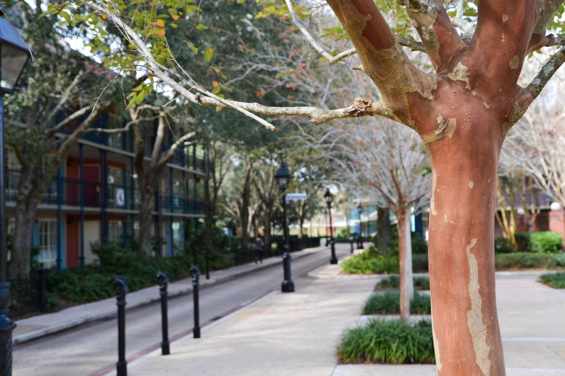 French Quarter Peaceful Sidewalk Wallpaper