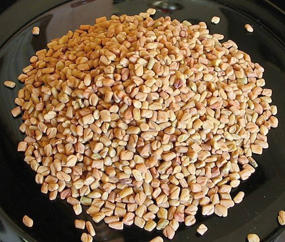 Fresh Fenugreek Leaves On A Glass Plate Wallpaper