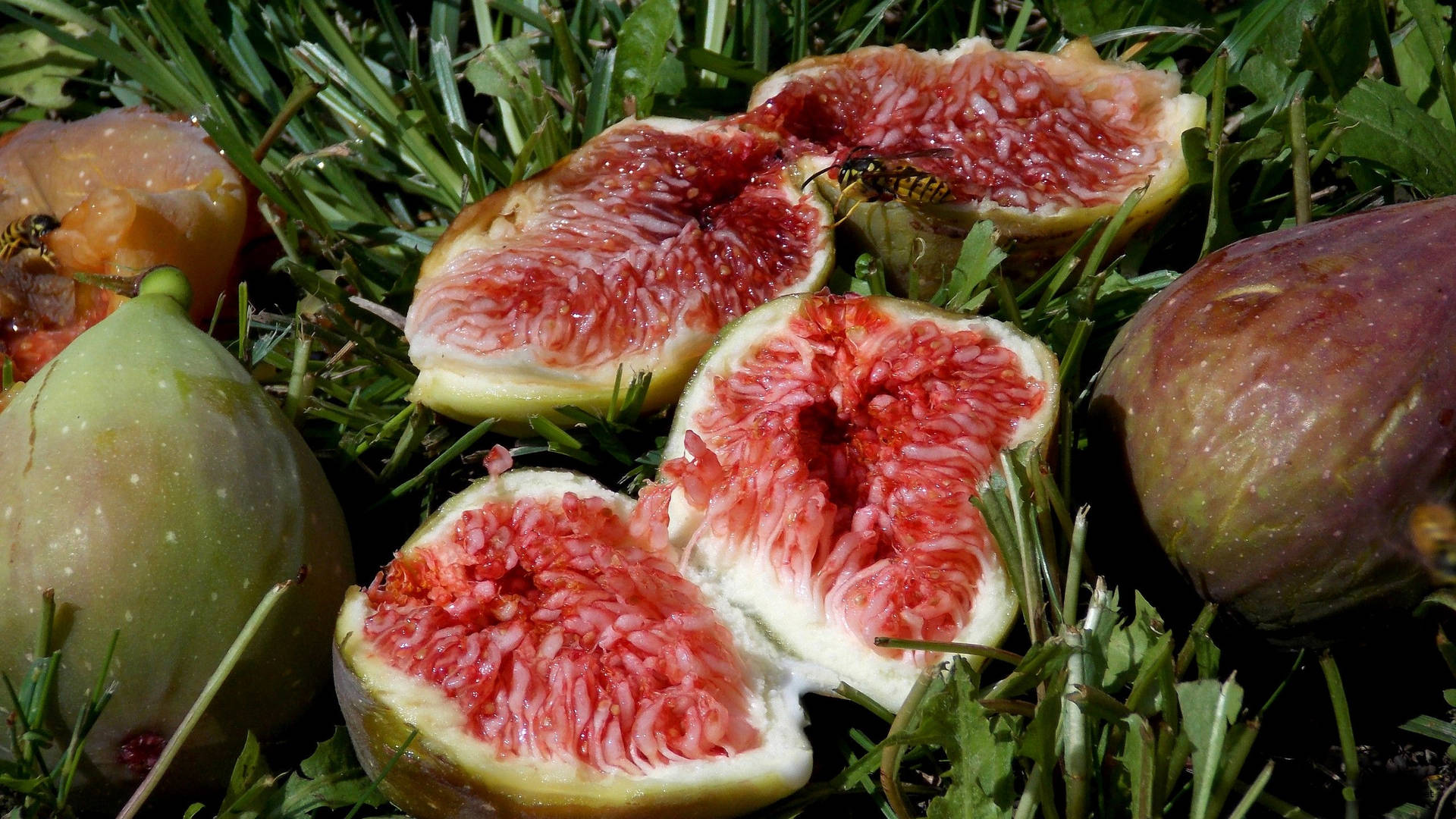 Fresh Figs Scattered On A Lush Green Grass Wallpaper