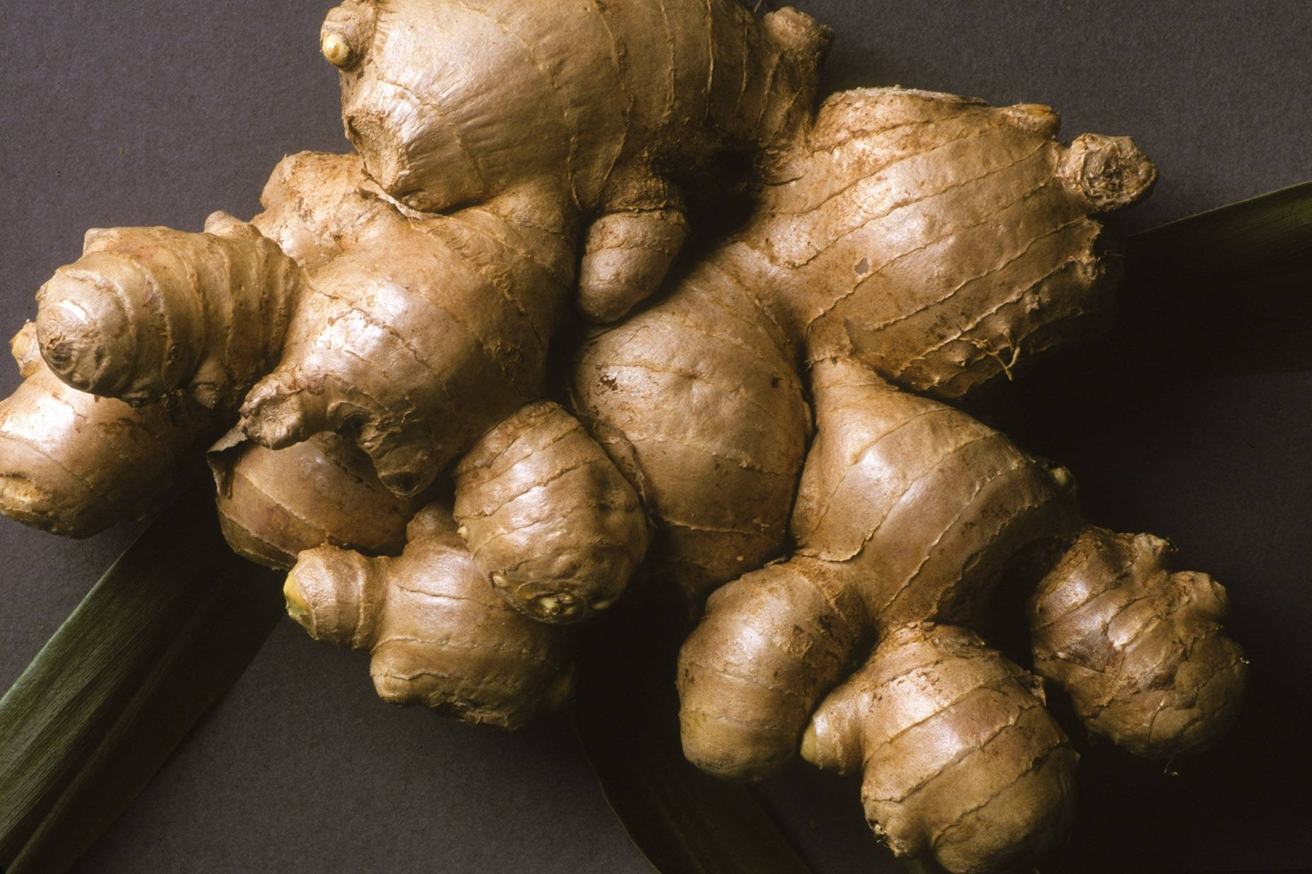 Fresh Ginger Rhizome Vegetable Extreme Close Up Wallpaper