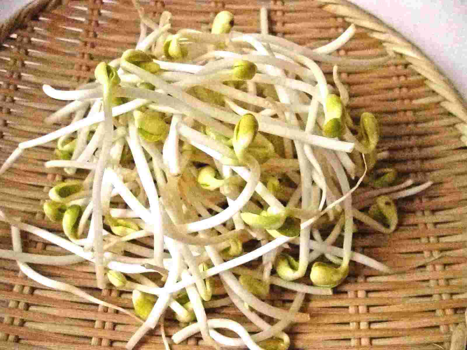 Fresh Mung Bean Sprouts - Versatile Asian Delight Wallpaper