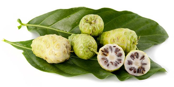 Fresh Noni Fruits With Lush Green Leaves Wallpaper