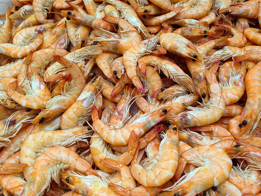 Fresh Prawns Seafood Market.jpg Wallpaper