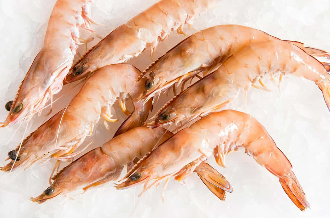 Fresh Prawns Top View Wallpaper