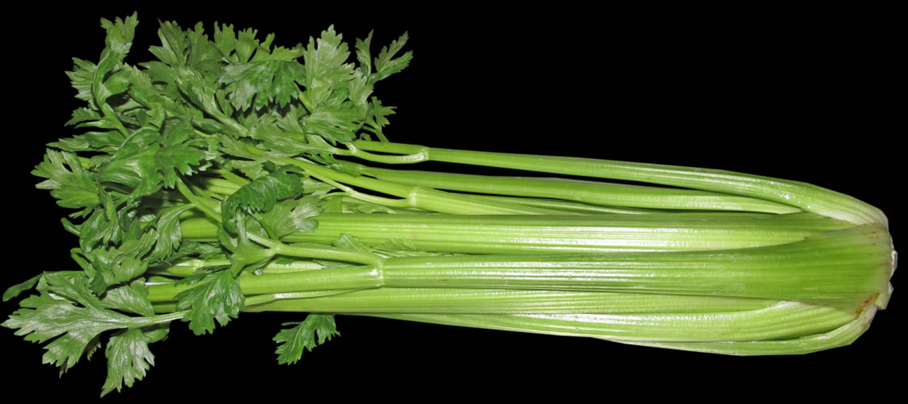 Fresh & Vibrant Celery Bunch Wallpaper