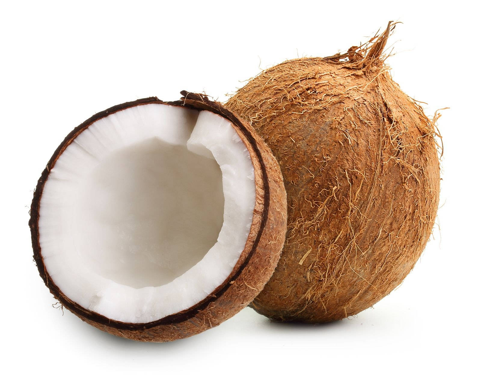 Fresh, Whole, Semi-husked Coconut Wallpaper