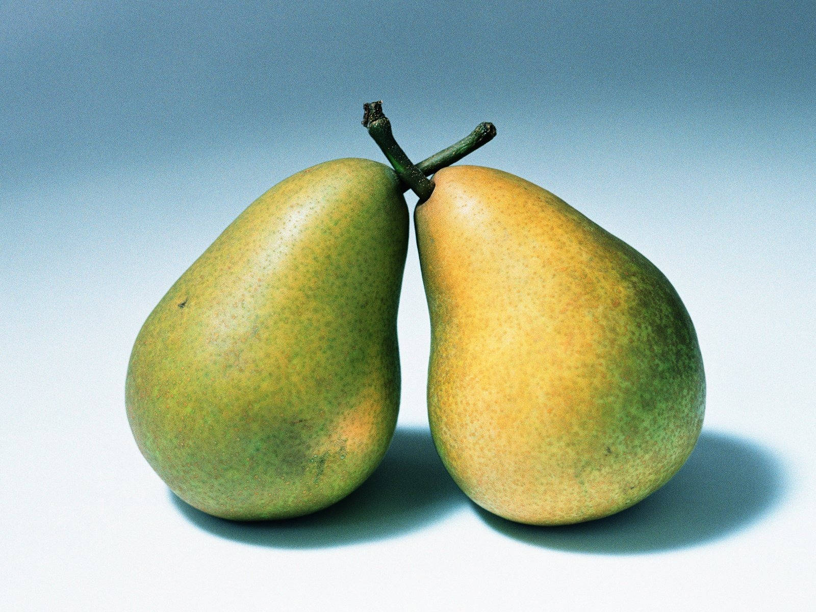 Freshly Harvested Duo Of Pears Wallpaper