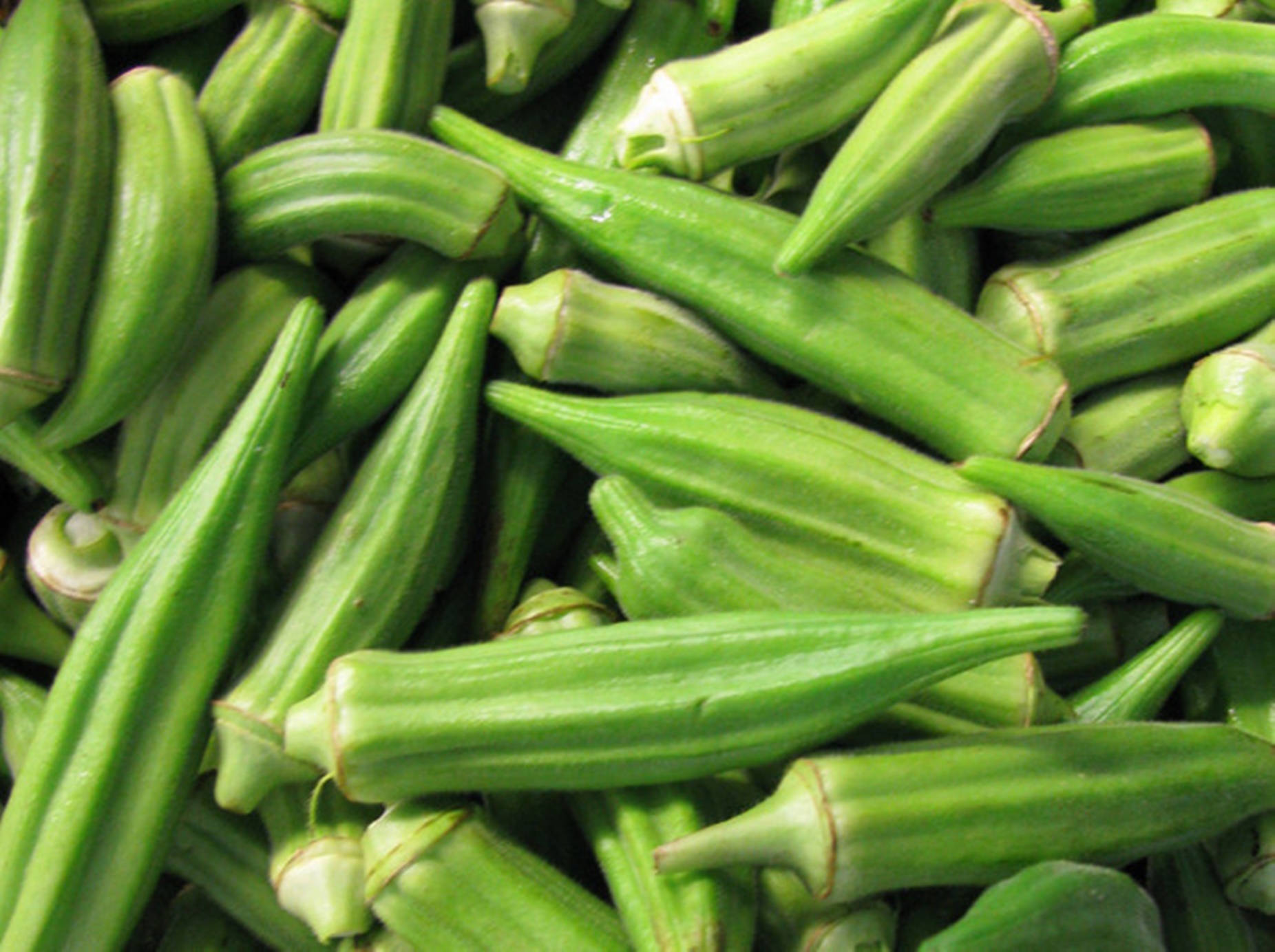 Freshly Picked Green Okra Wallpaper