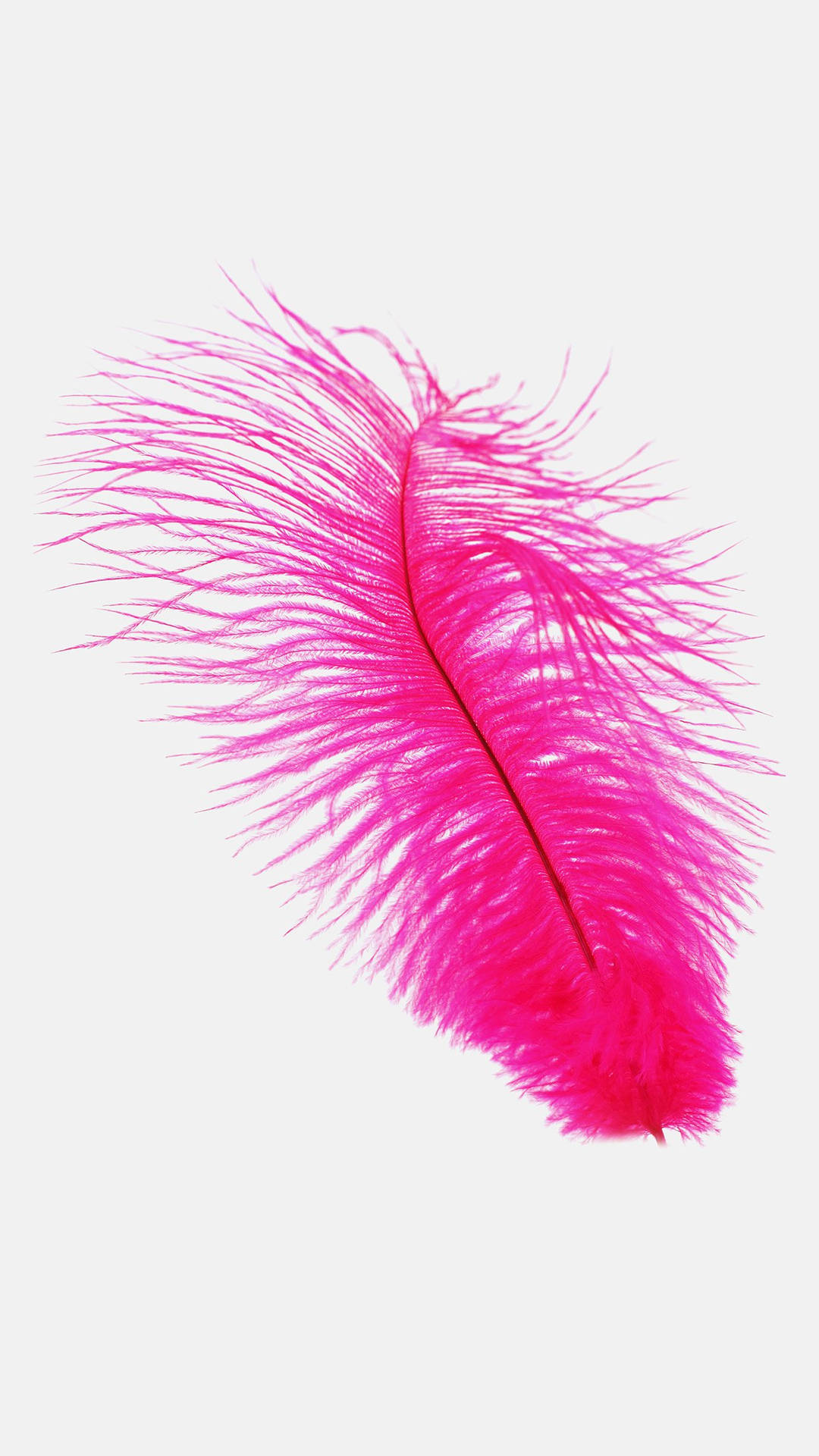 Fuchsia Pink Ostrich Feather Smartphone Background Wallpaper