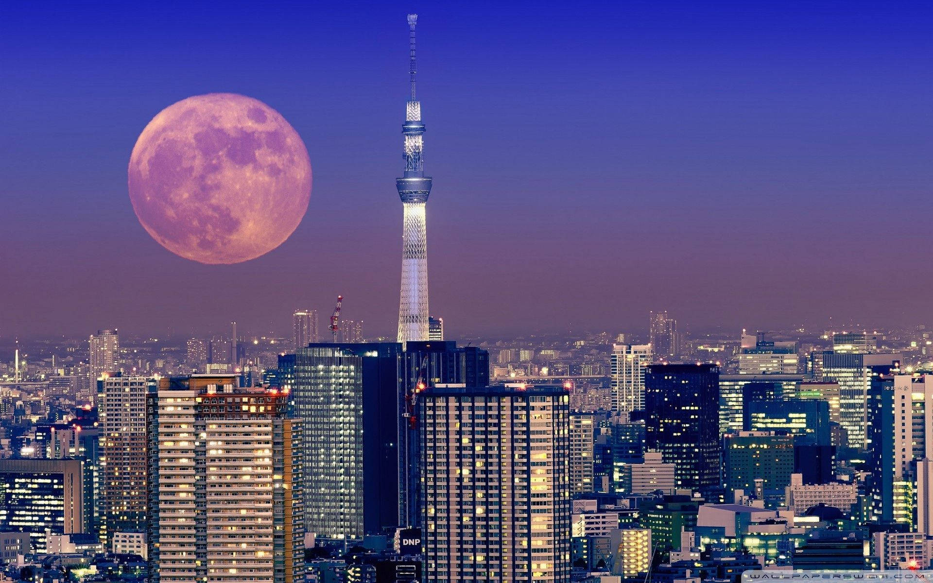 Full Moon Lights Up Tokyo City Sky Wallpaper