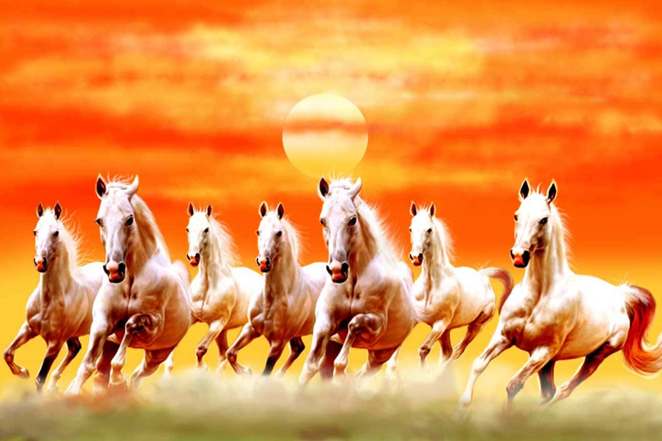 Galloping Seven Horses Sunset Wallpaper