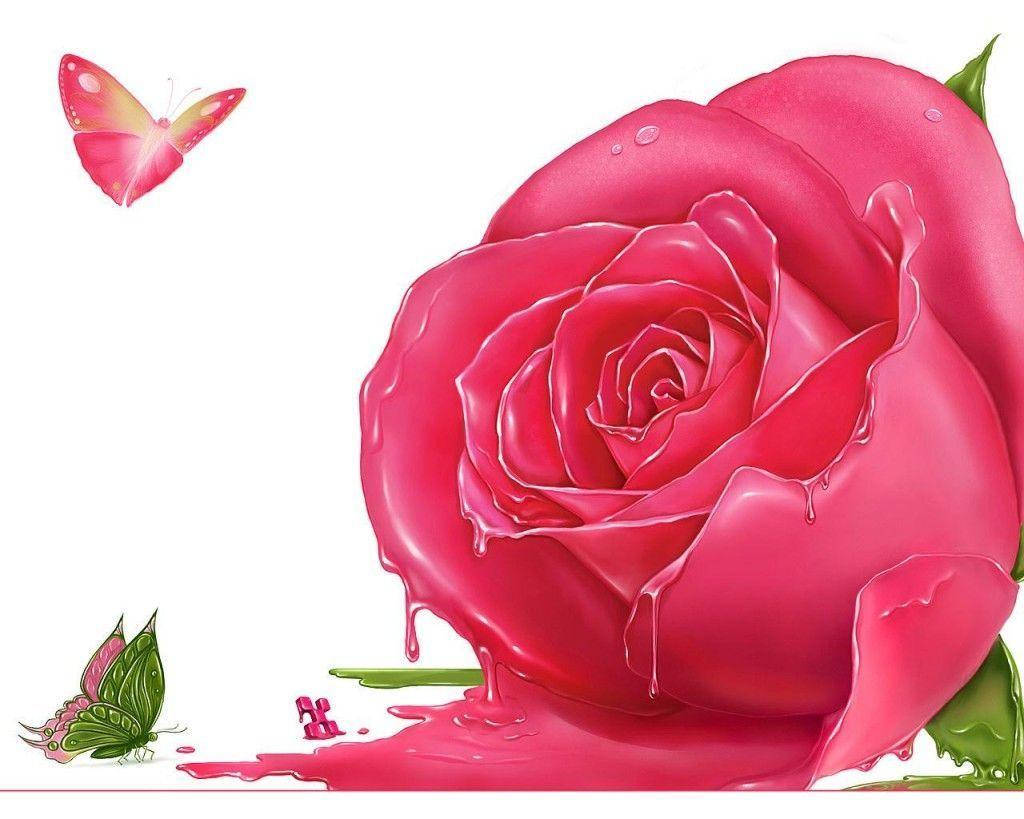 Gambar Pink Rose With Butterfly Wallpaper