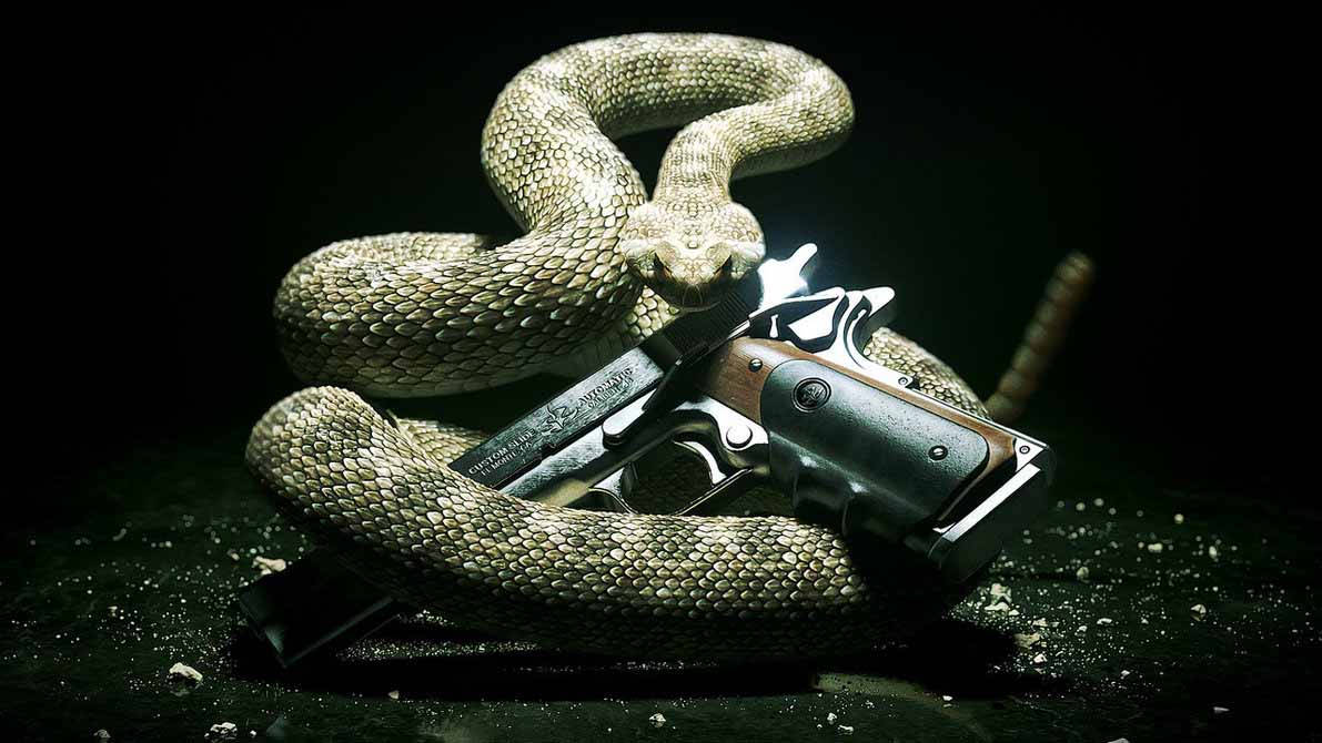 Gambar Snake With Gun Wallpaper
