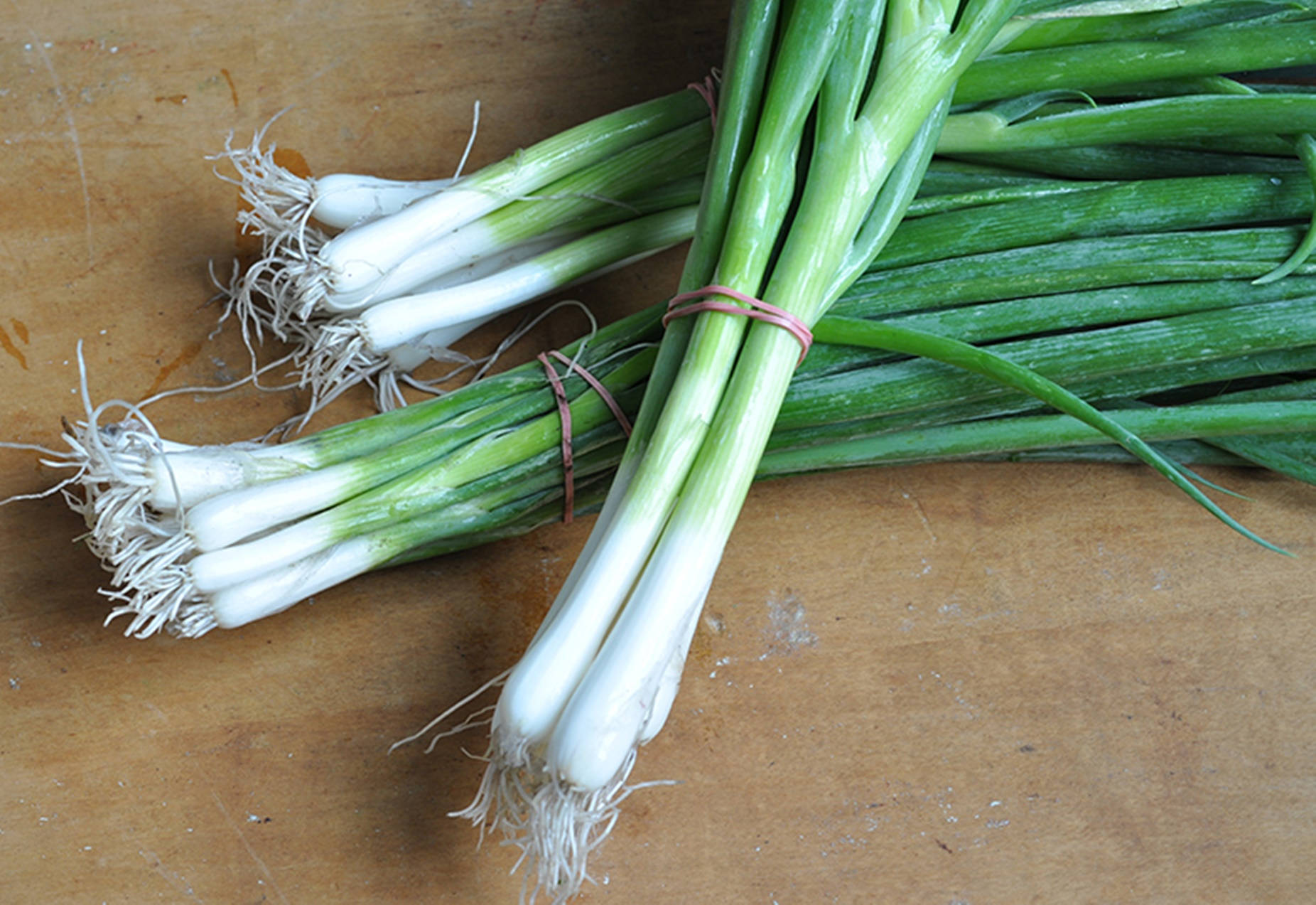 Garden Fresh Healthy Green Onions Wallpaper