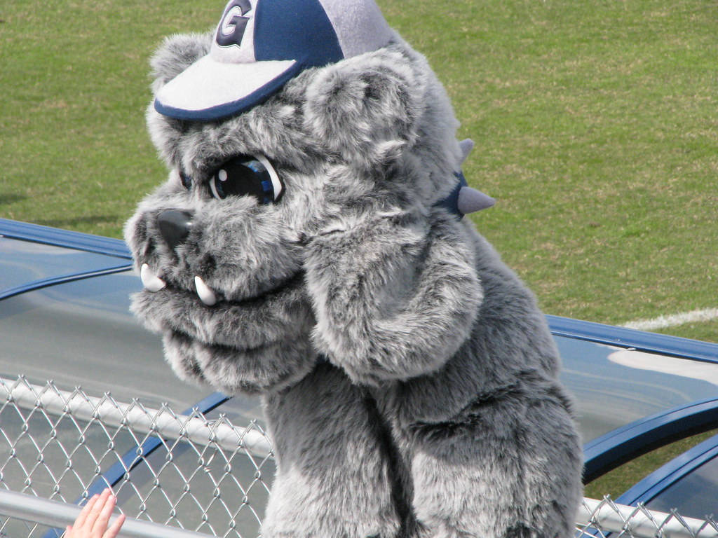 Georgetown University Bulldog Mascot Wallpaper