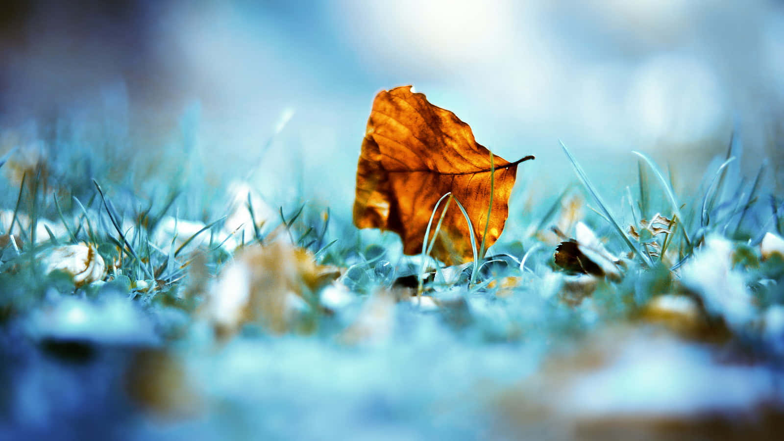 Get Inspired With This Gorgeous, Unique Mountain Landscape. Wallpaper