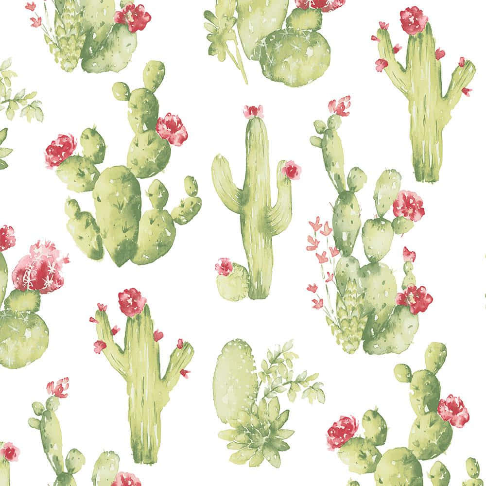 Get Some Prickly Joy In Your Life With These Cute Cacti! Wallpaper