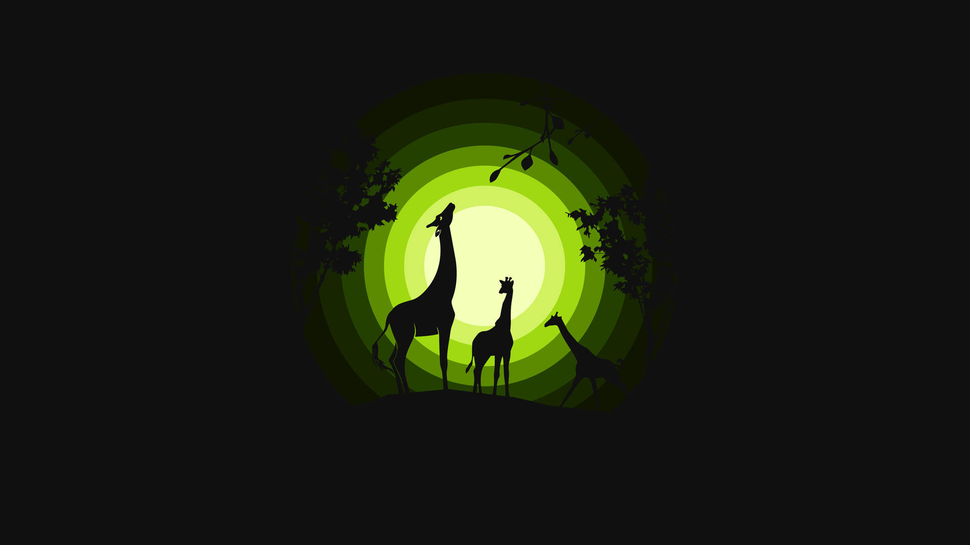 Giraffe Family 4d Ultra Hd Wallpaper