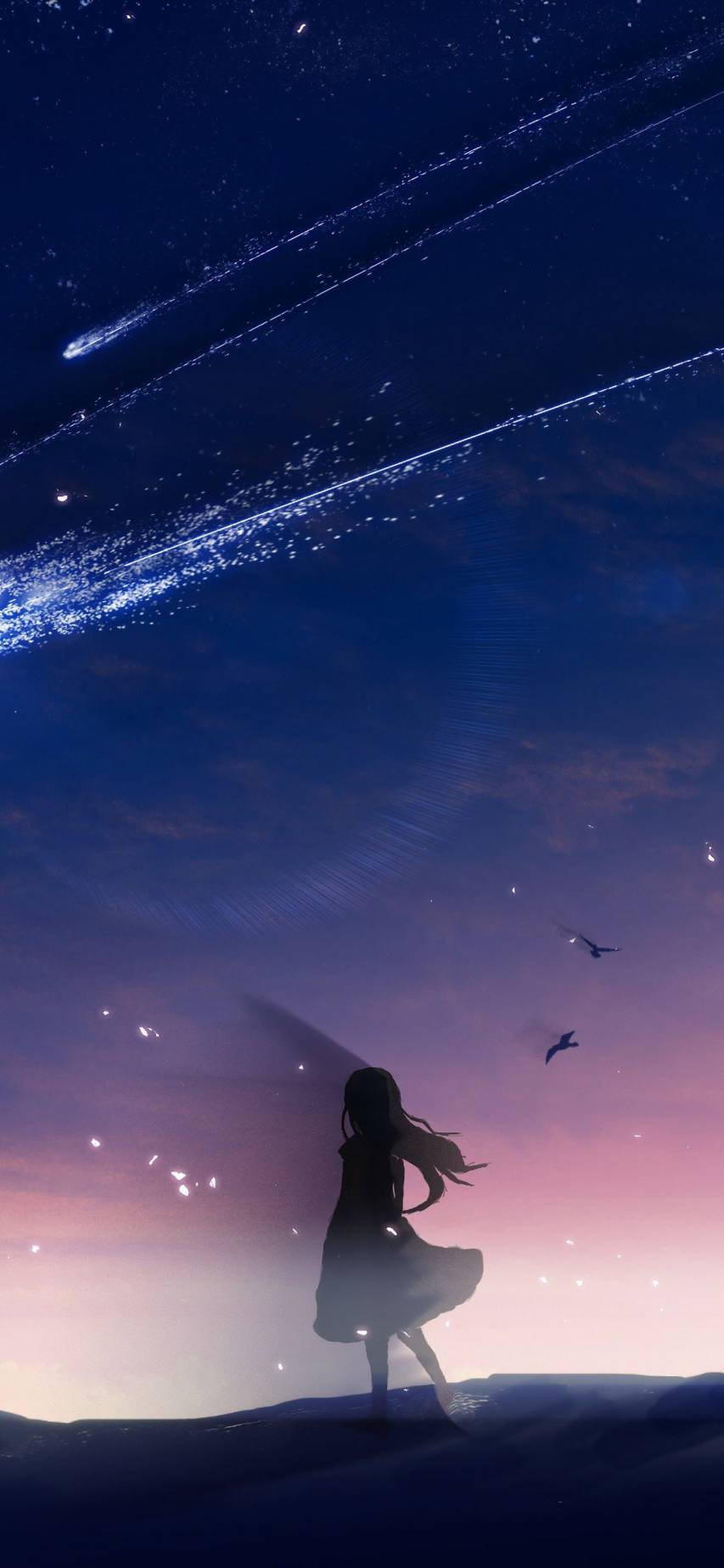 Girl And Comet Aesthetic Anime Iphone Wallpaper