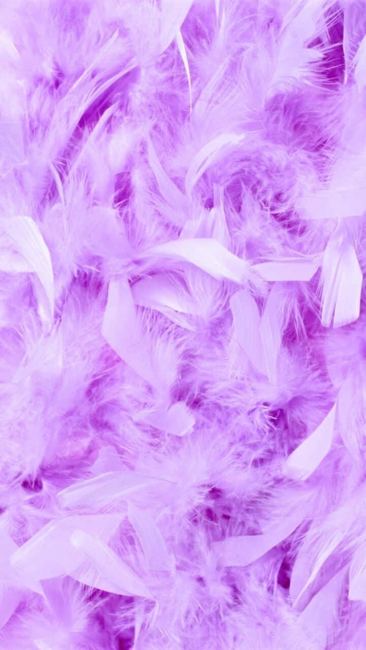 Girly Aesthetic Purple Bird Feathers Wallpaper