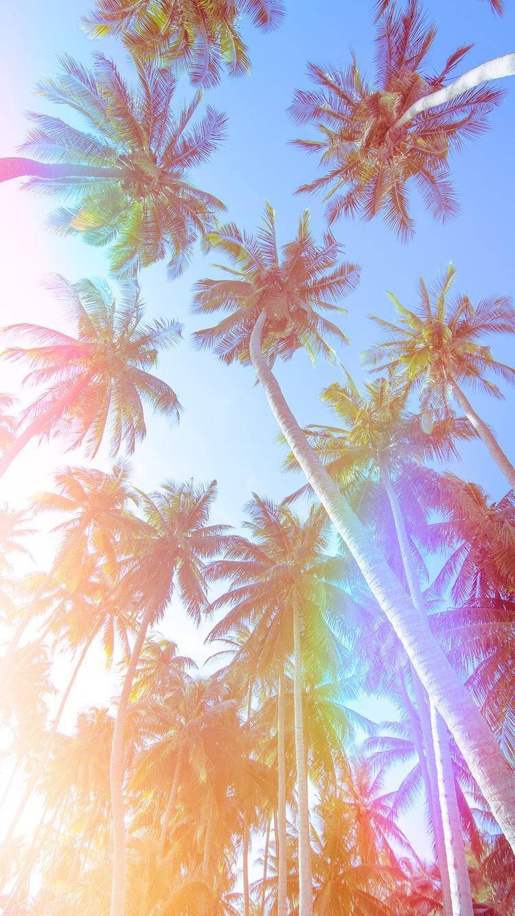 Girly Vintage Aesthetic Palm Trees Wallpaper