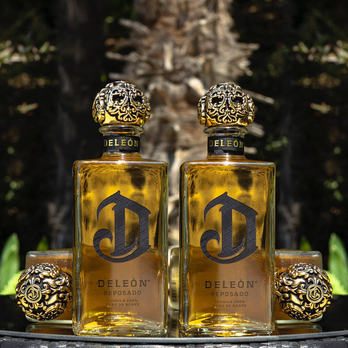 Gold Deleón Tequila Reposado Bottles Wallpaper