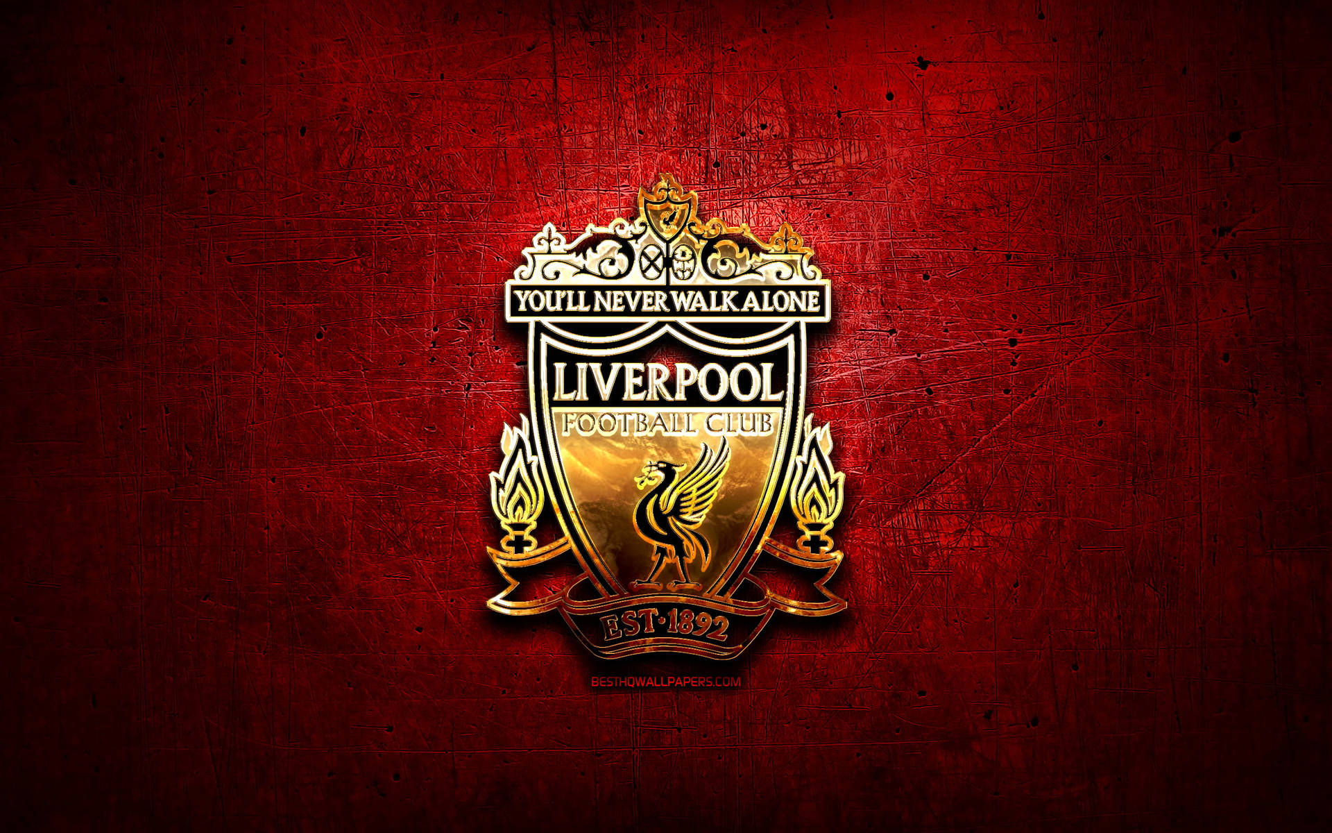 Gold Liverpool Logo T Shirt Nike Liverpool FC Fanswear 2023 2024