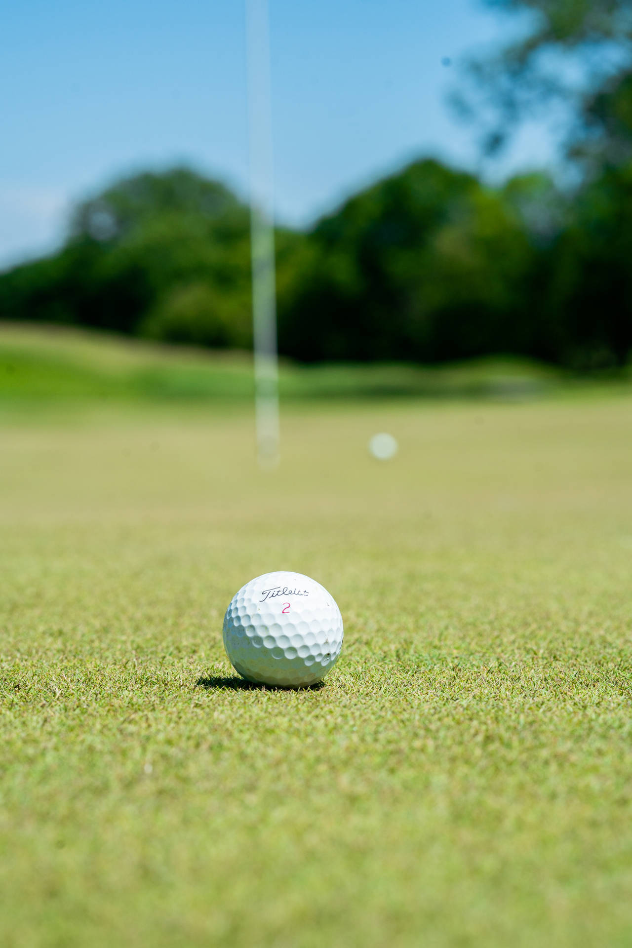 Golf Ball On Golf Course Grass Wallpaper
