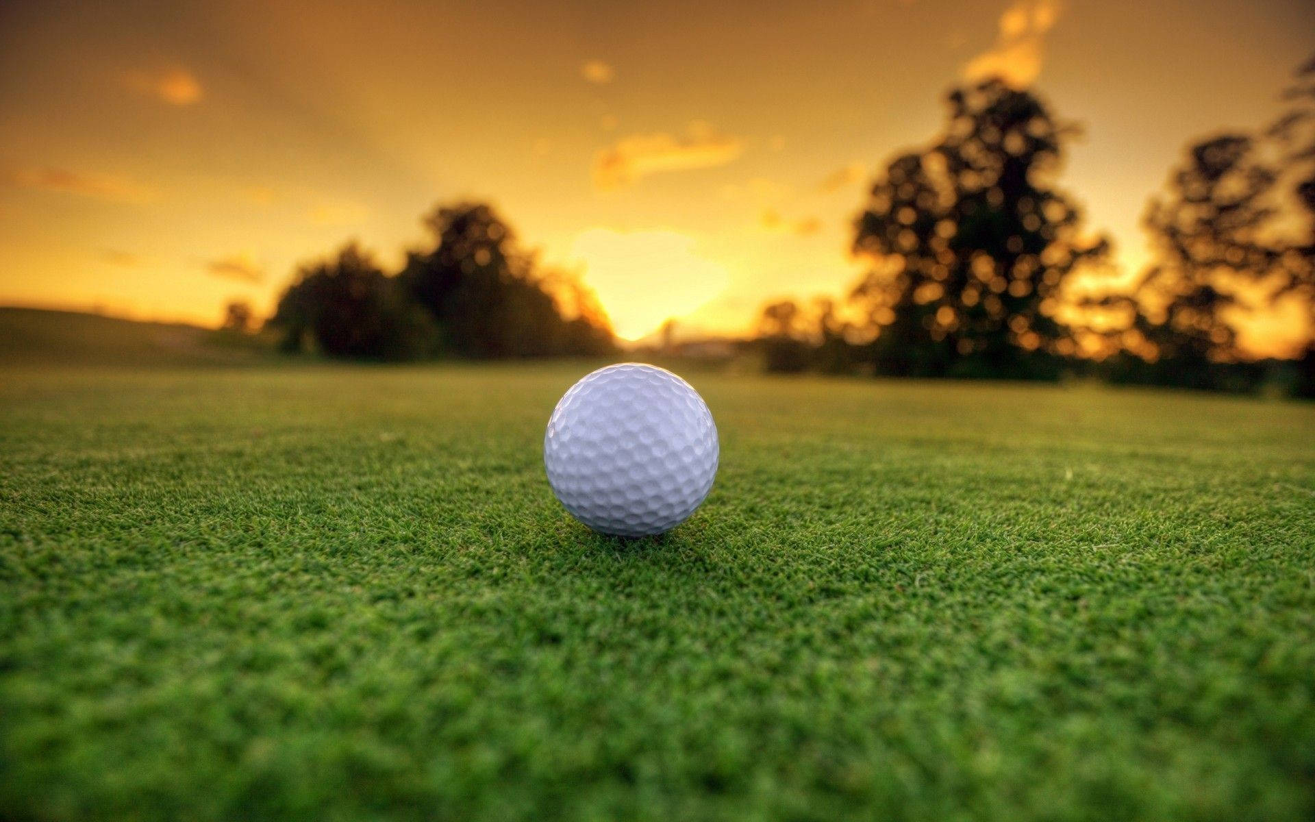 Golf In Perspective Best 4k Wallpaper