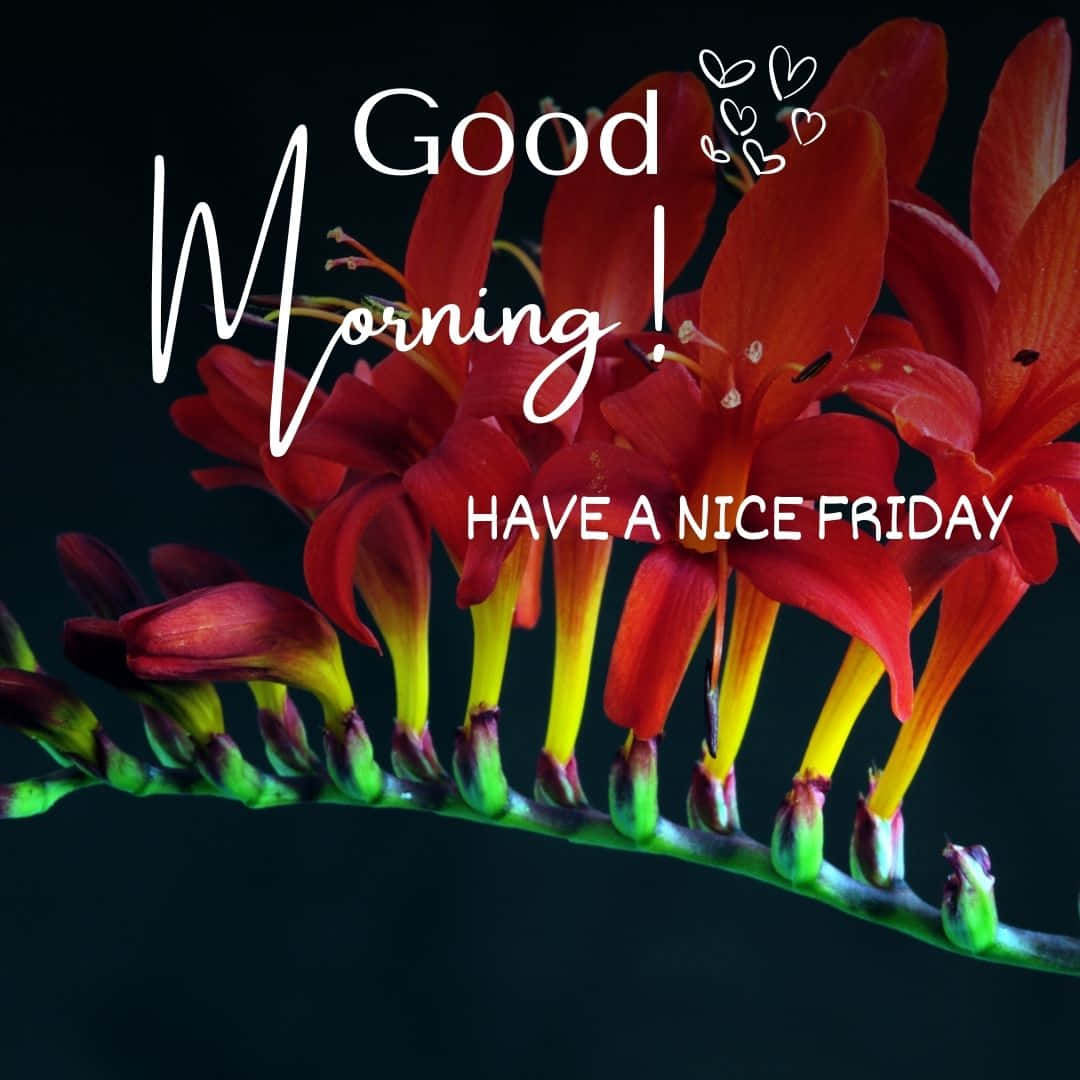 Good Morning Friday Floral Greeting Wallpaper