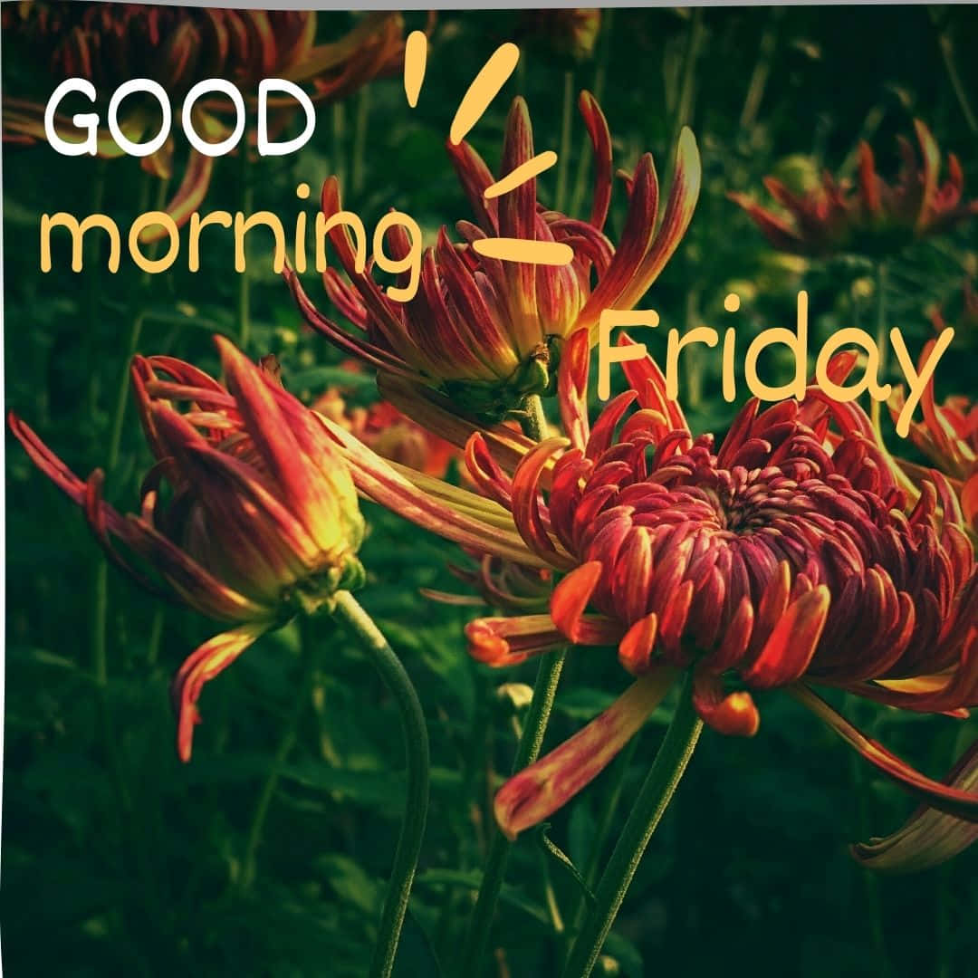 Good Morning Friday Floral Greeting Wallpaper