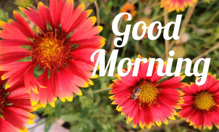 Good Morning Friday Flowers Wallpaper