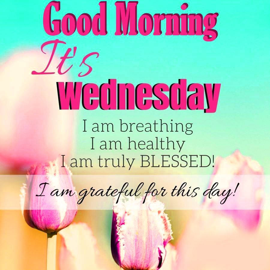 Good Morning Happy Wednesday Quote Wallpaper